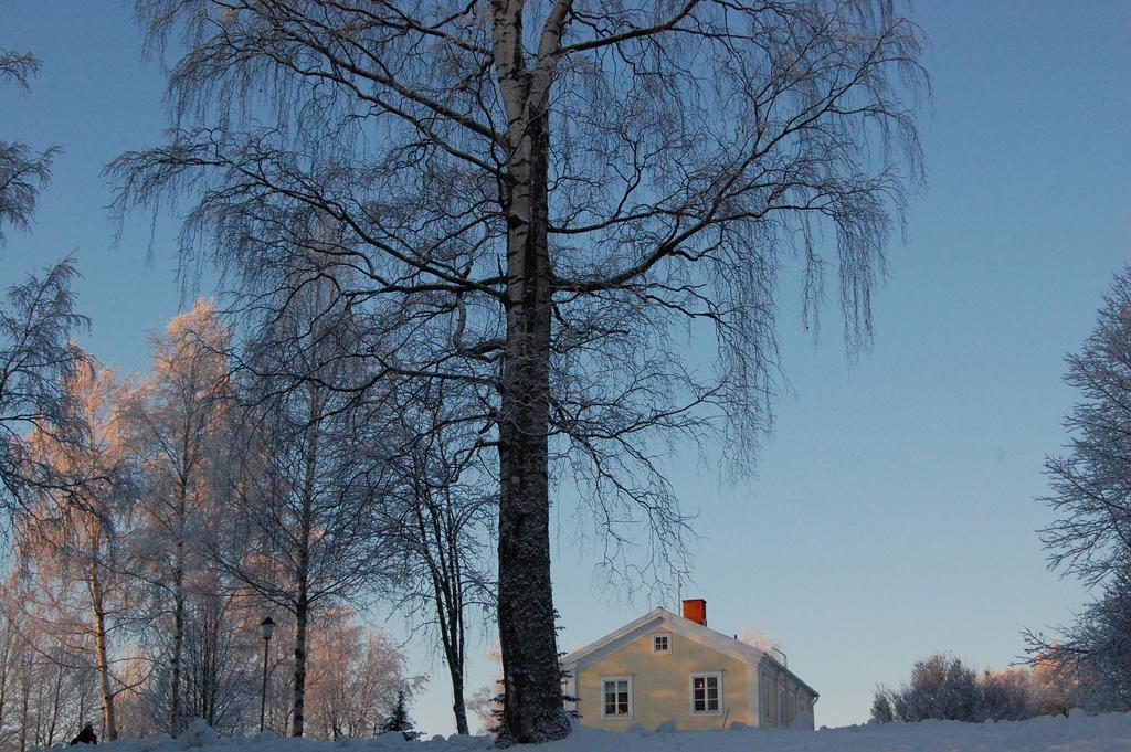 Brunnsgarden Bed & Breakfast Skellefteå Zewnętrze zdjęcie