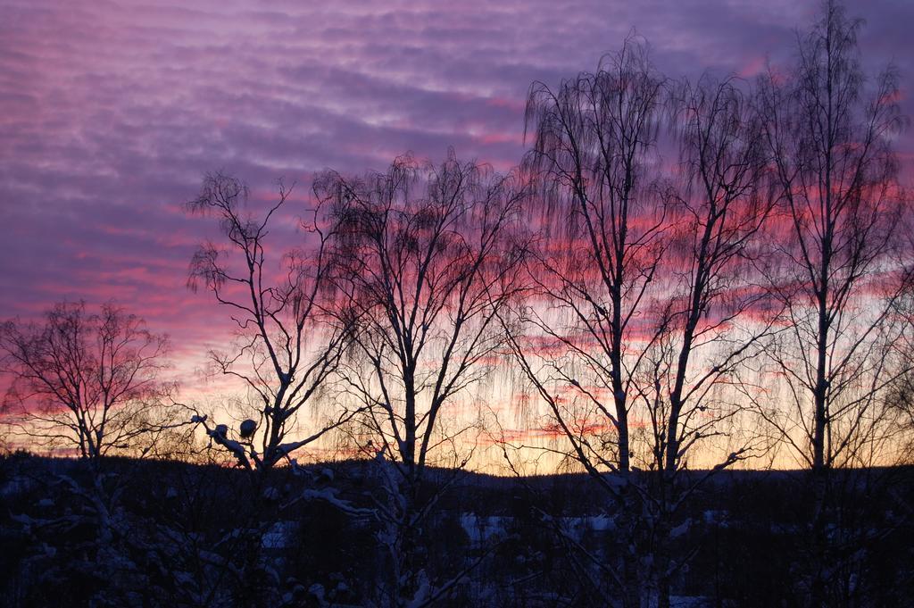 Brunnsgarden Bed & Breakfast Skellefteå Zewnętrze zdjęcie