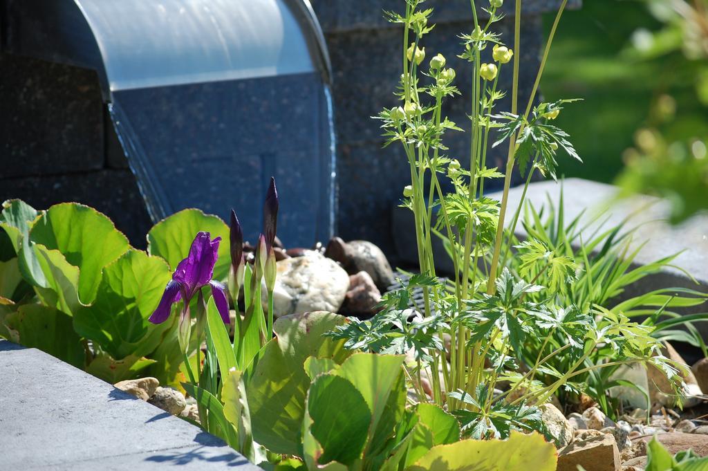 Brunnsgarden Bed & Breakfast Skellefteå Zewnętrze zdjęcie